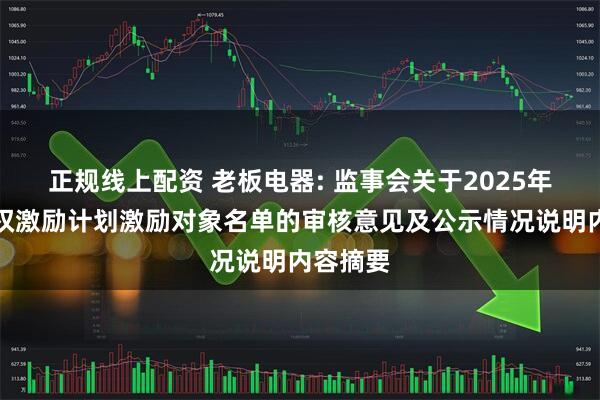 正规线上配资 老板电器: 监事会关于2025年股票期权激励计划激励对象名单的审核意见及公示情况说明内容摘要