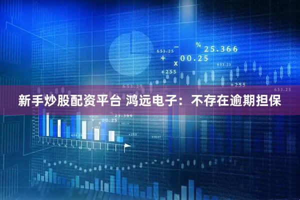 新手炒股配资平台 鸿远电子：不存在逾期担保
