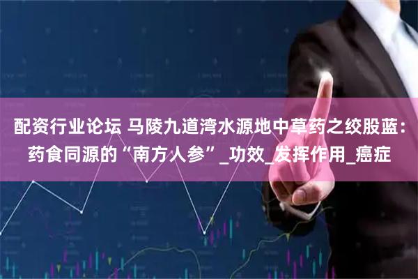 配资行业论坛 马陵九道湾水源地中草药之绞股蓝：药食同源的“南方人参”_功效_发挥作用_癌症